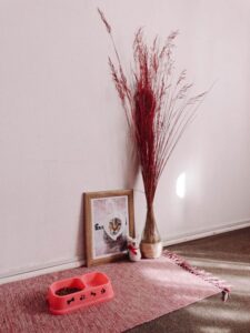 How to Set Up a Cozy and Safe Pet-Friendly Home Corner